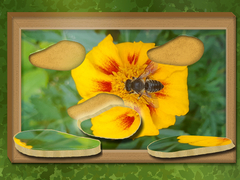 Cluiche Find & Restore: Hidden Puzzle