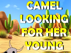 Cluiche Camel Looking For Her Young