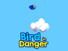 Cluiche Bird in Danger