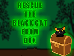 Cluiche Rescue the Black Cat from Box