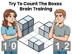 Cluiche Try To Count The Boxes Brain Training