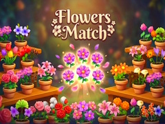 Cluiche Flowers Match