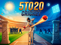Cluiche 5TO20 Cricket