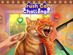 Cluiche Brush Cat Challenge 