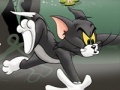 Cluiche Tom And Jerry Chase In Marsh