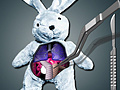 Cluiche Save The Bunny