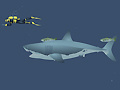 Cluiche Mad Shark