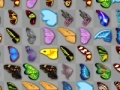Cluiche Butterfly kyodai