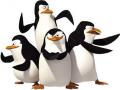 Penguins cluichí Madagascar 