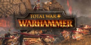 Iomlán War Warmer 