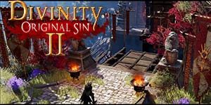 Divinity: Bunaidh pheaca 2 